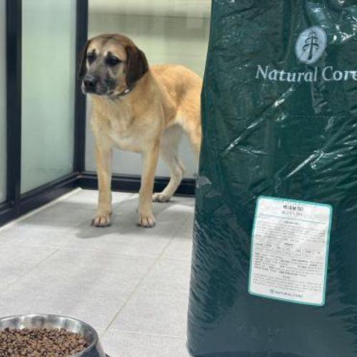 슬라이드 이미지