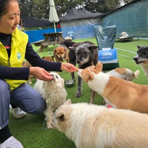 슬라이드 이미지