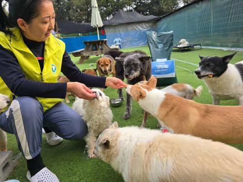 슬라이드 이미지