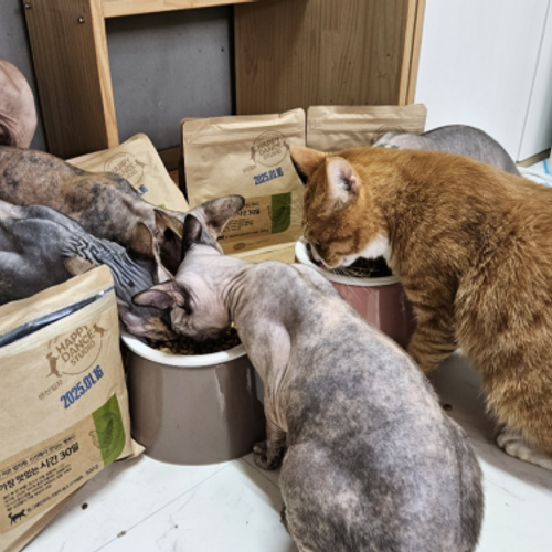 슬라이드 이미지