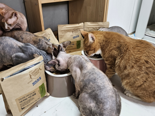 슬라이드 이미지