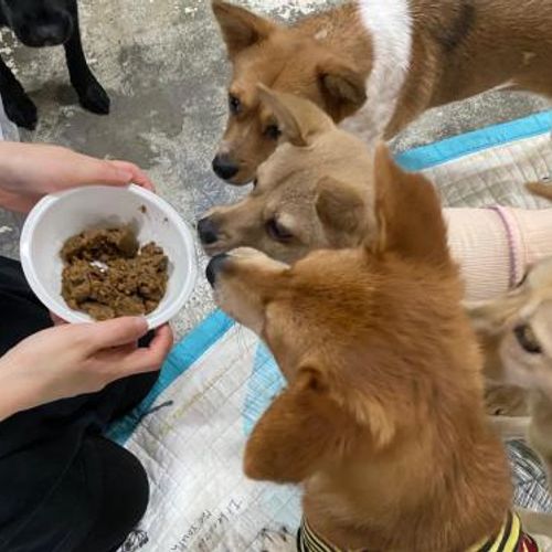 슬라이드 이미지