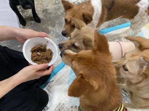 슬라이드 이미지