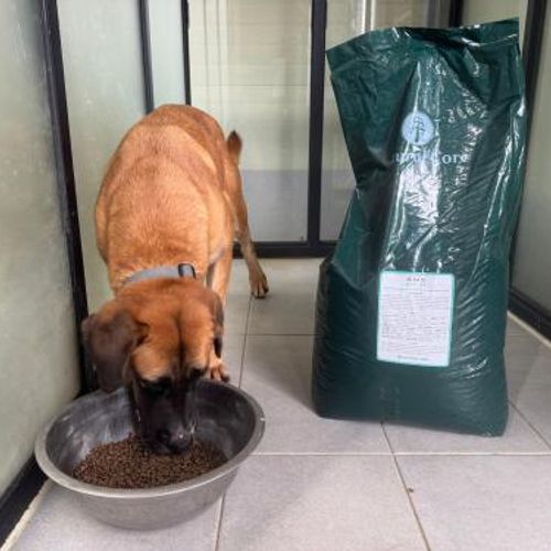 슬라이드 이미지