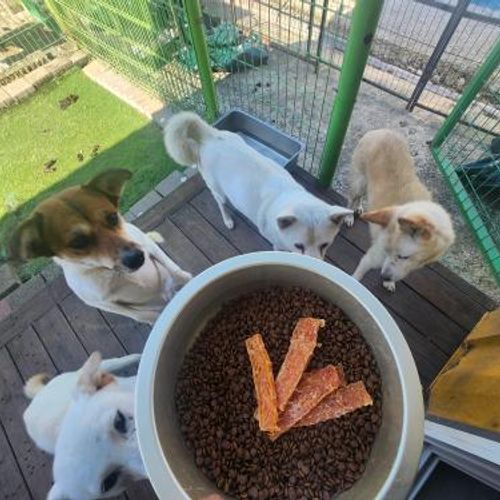 슬라이드 이미지