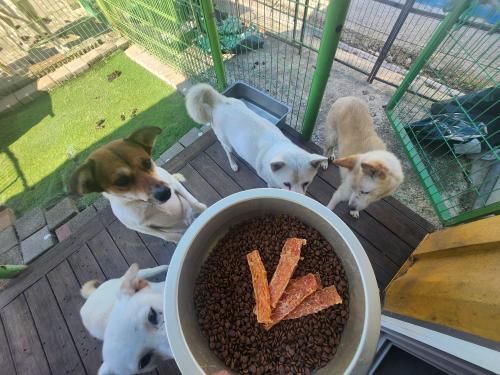 슬라이드 이미지