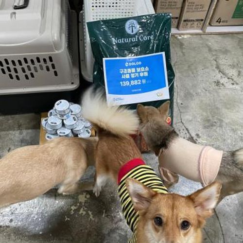 슬라이드 이미지