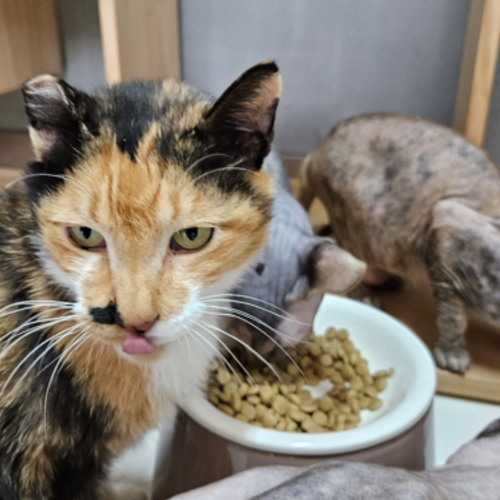 슬라이드 이미지