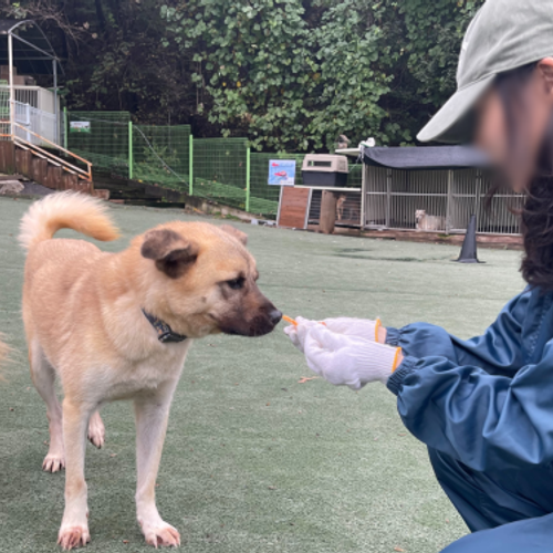 슬라이드 이미지