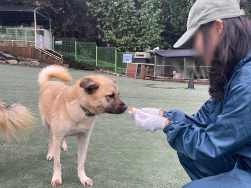 슬라이드 이미지