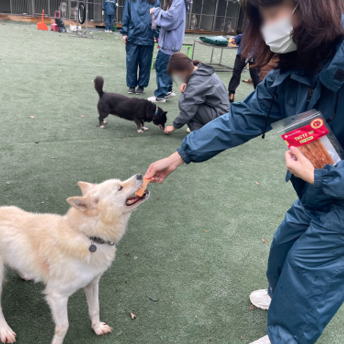 슬라이드 이미지