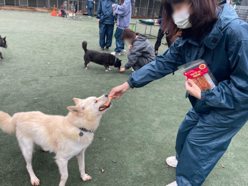 슬라이드 이미지