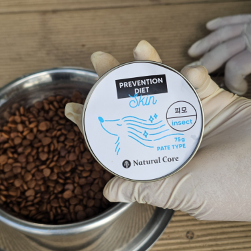 슬라이드 이미지