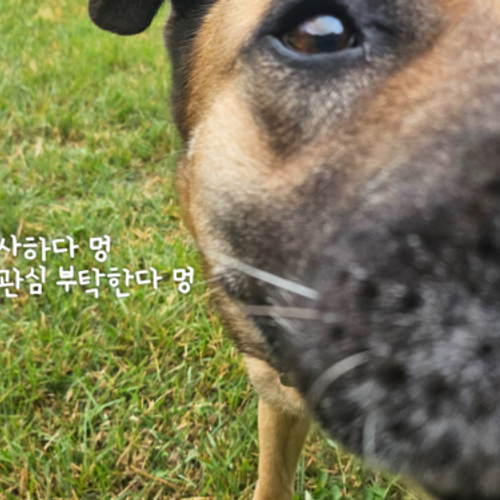 슬라이드 이미지