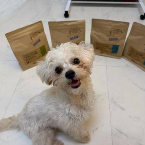 슬라이드 이미지