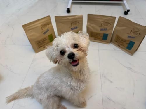 슬라이드 이미지