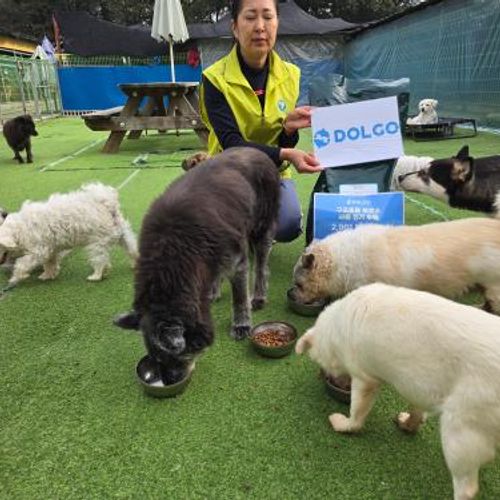 슬라이드 이미지