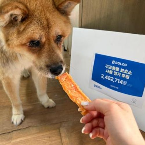 슬라이드 이미지