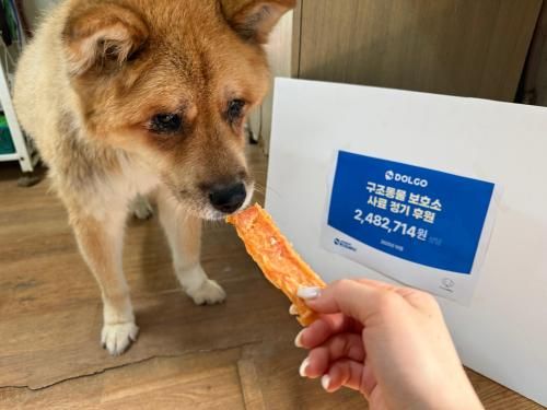 슬라이드 이미지