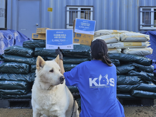 슬라이드 이미지