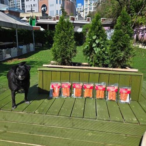 슬라이드 이미지