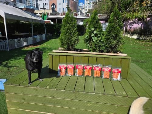 슬라이드 이미지