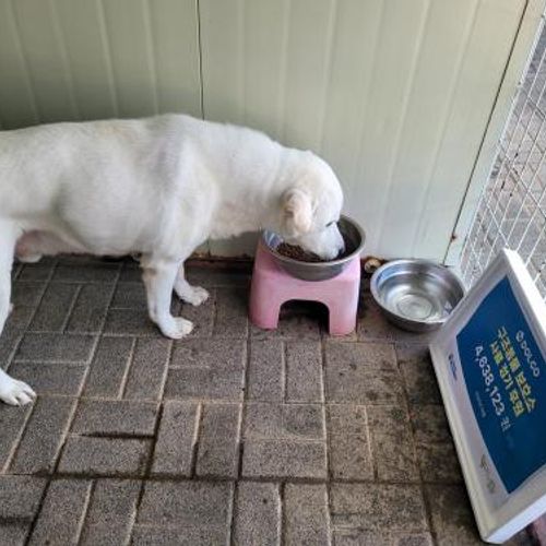 슬라이드 이미지