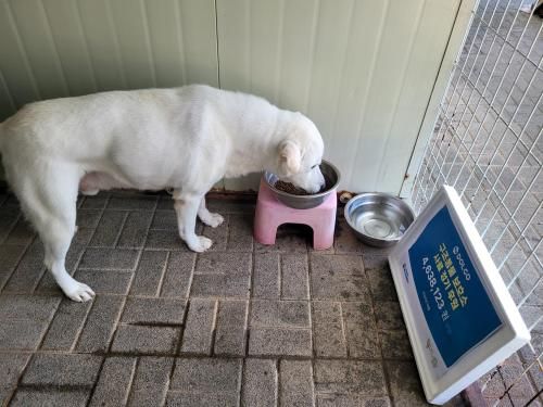 슬라이드 이미지