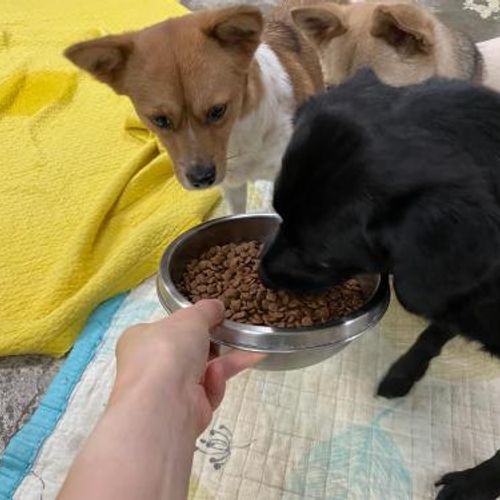 슬라이드 이미지