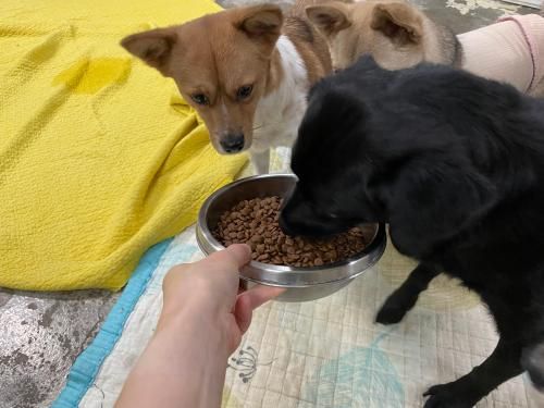 슬라이드 이미지