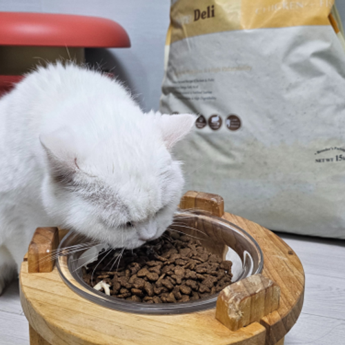 슬라이드 이미지