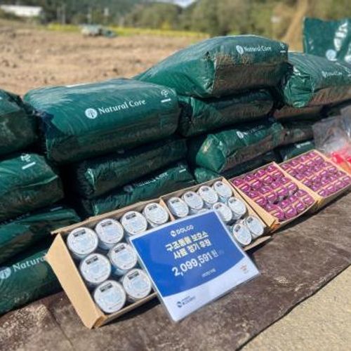 슬라이드 이미지