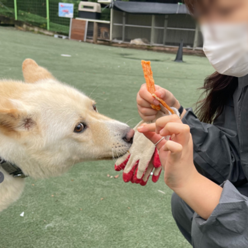 슬라이드 이미지