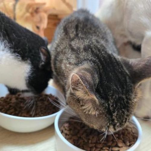 슬라이드 이미지