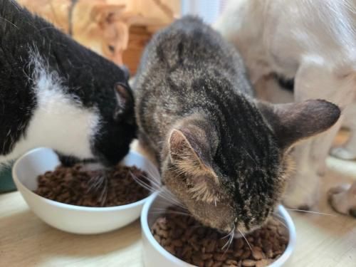 슬라이드 이미지