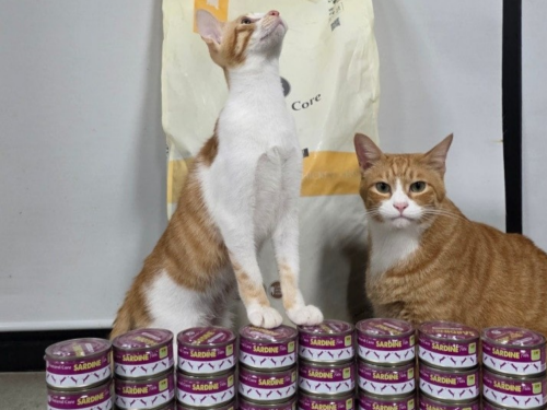 슬라이드 이미지