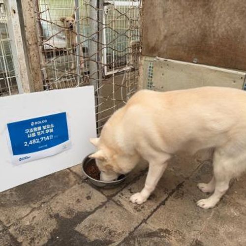 슬라이드 이미지