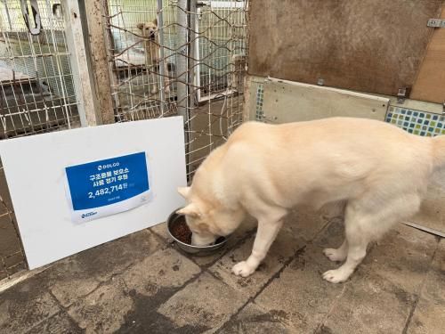 슬라이드 이미지