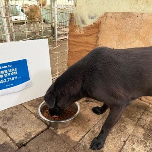 슬라이드 이미지