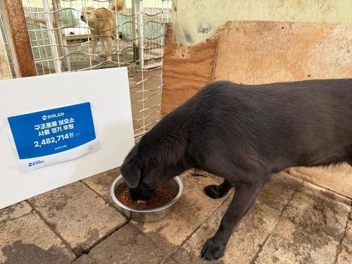 슬라이드 이미지