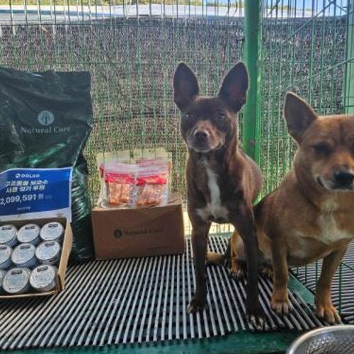 슬라이드 이미지