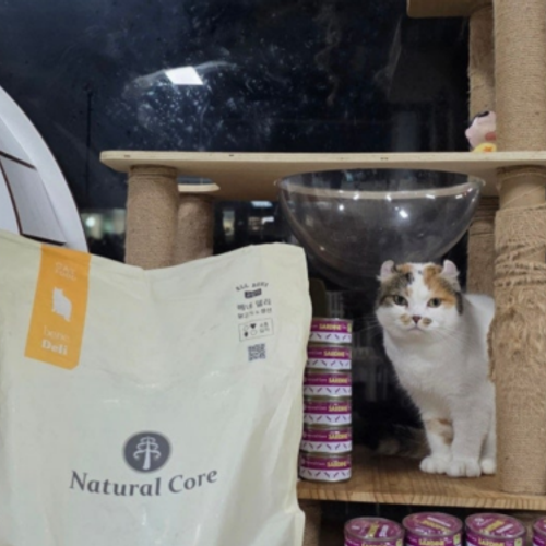 슬라이드 이미지