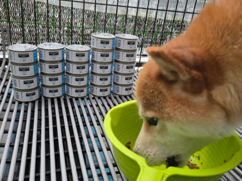 슬라이드 이미지