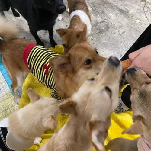 슬라이드 이미지