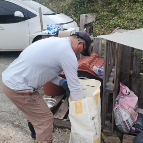 슬라이드 이미지