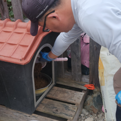 슬라이드 이미지