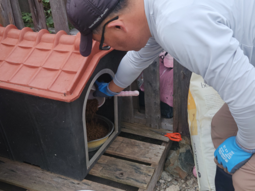 슬라이드 이미지