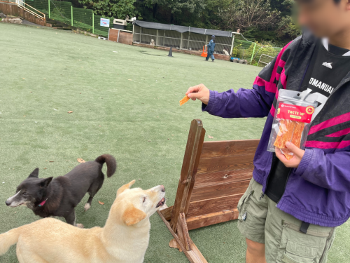 슬라이드 이미지