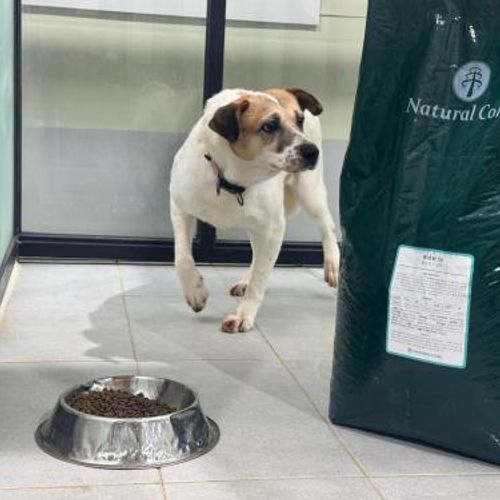 슬라이드 이미지