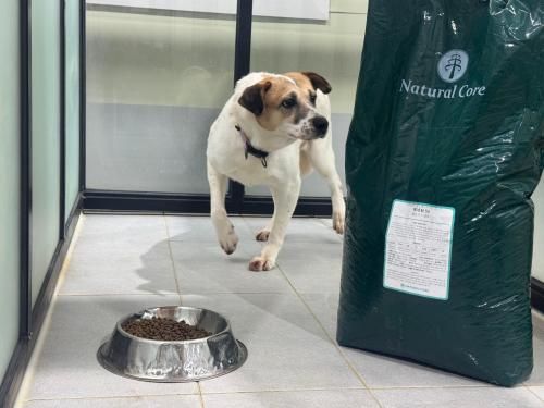 슬라이드 이미지